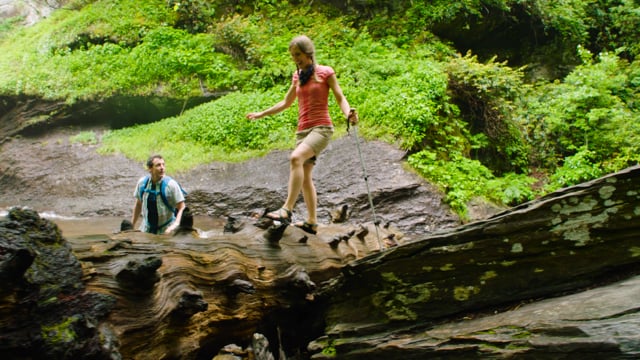 Ashville Tourism - Discovery