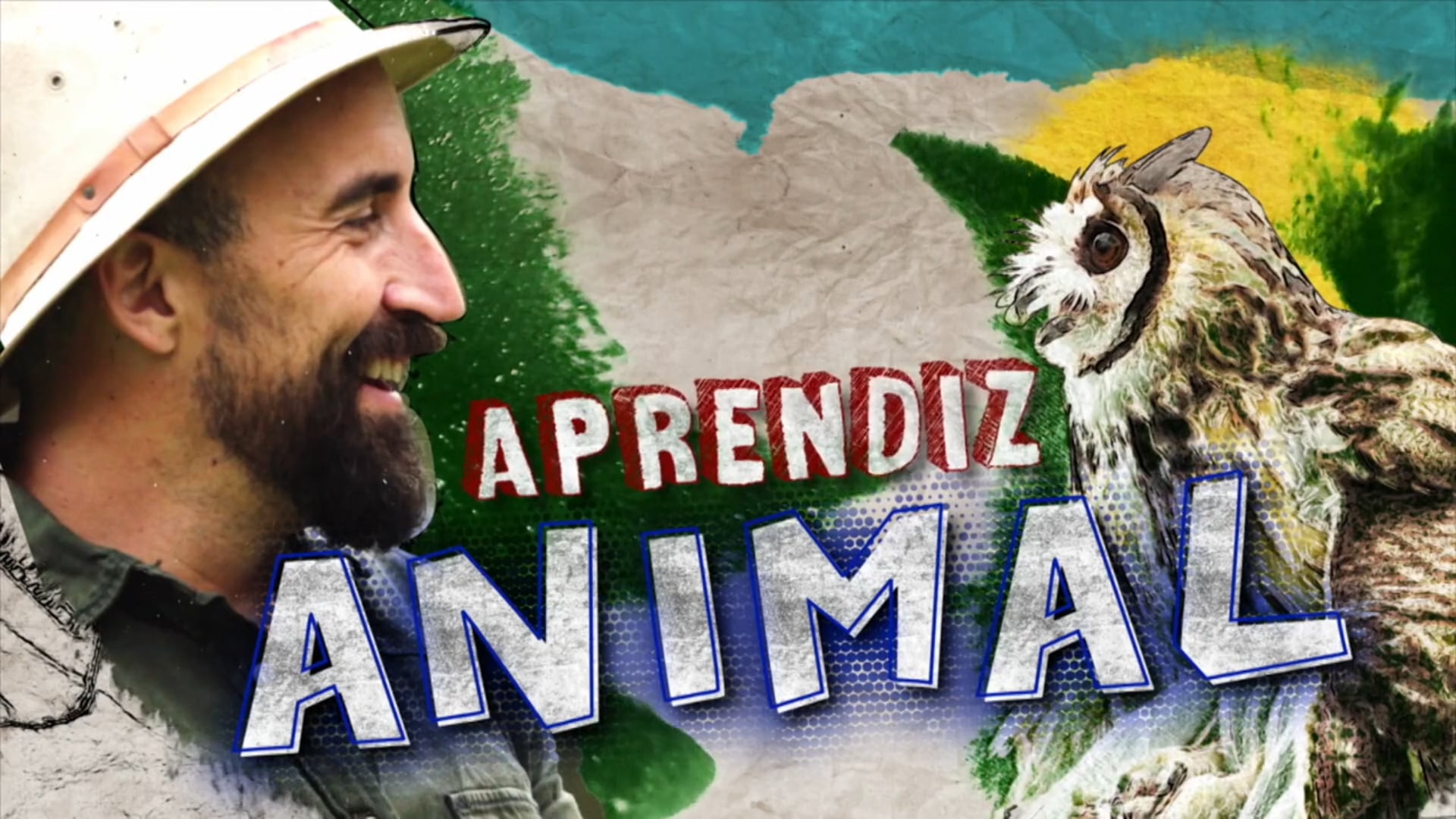 Aprendiz Animal - Animal Planet - Screenwriter - 2015/2016