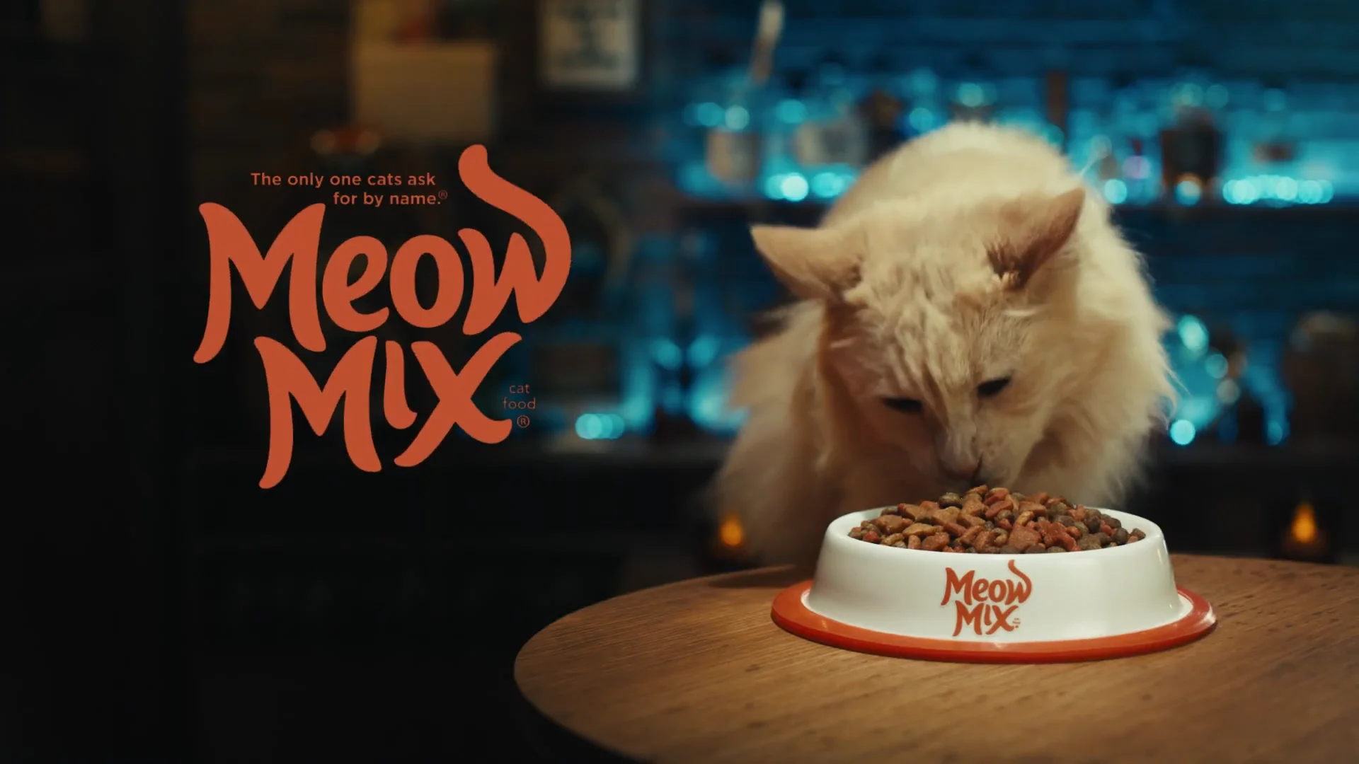 Meow mix cat outlet video