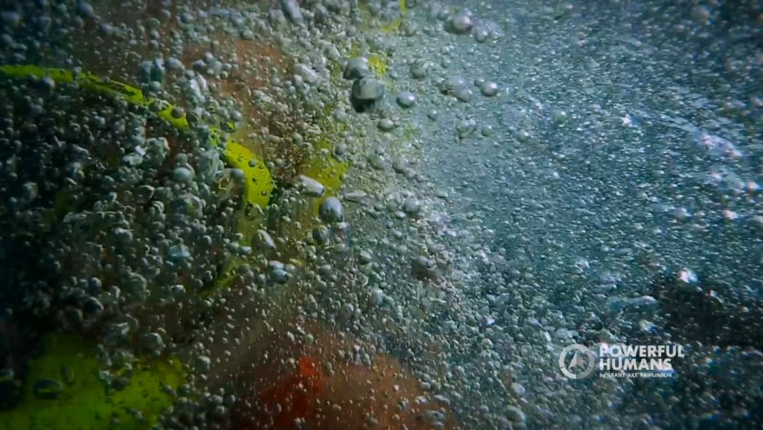 vimeo-video-thumbnail