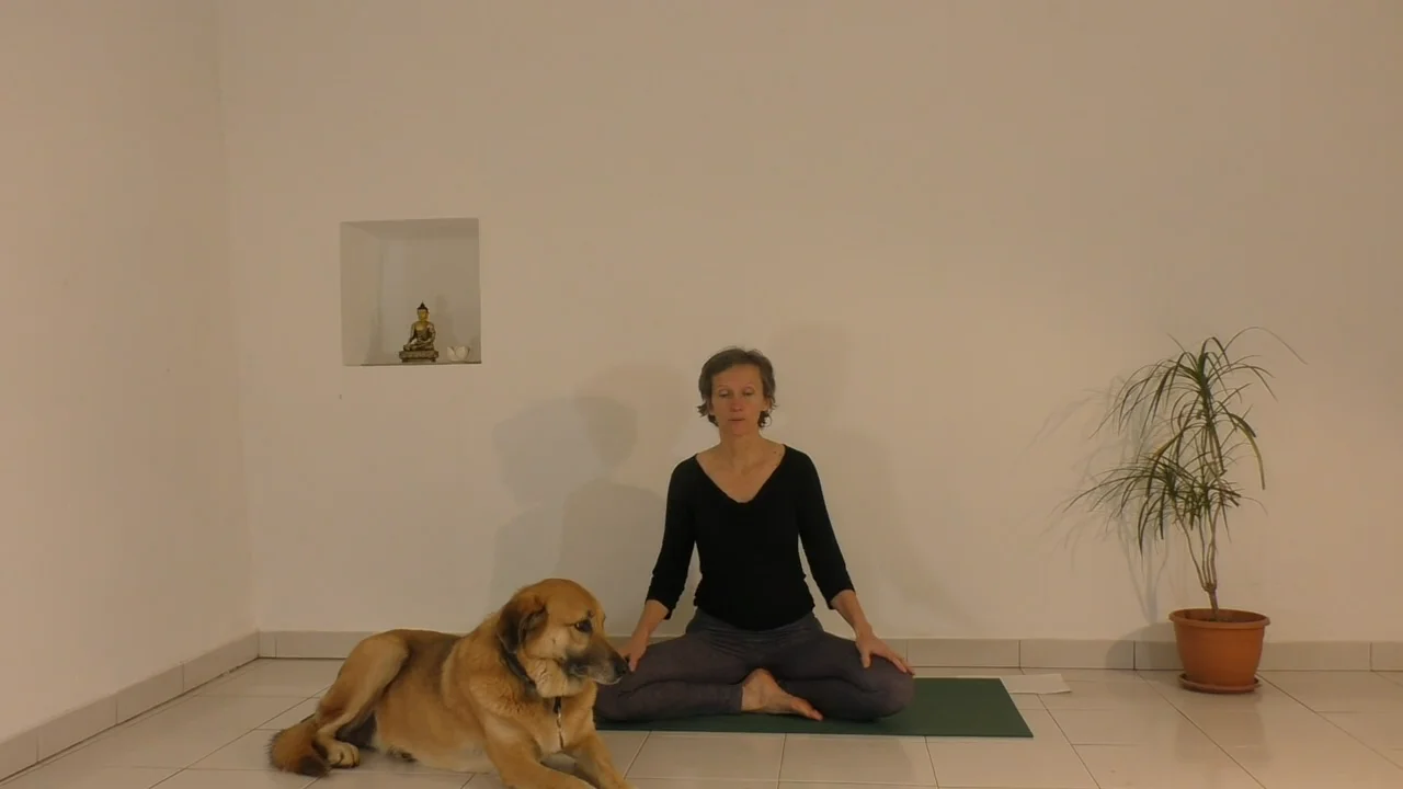 Strengthening sequence (13 min) on Vimeo