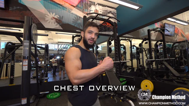 Roman reigns chest discount workout