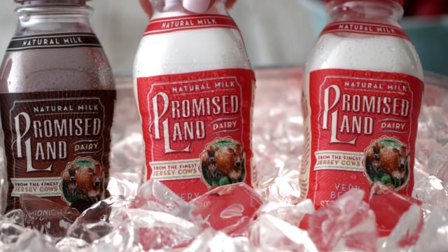 Promise Land - A Simpler Time