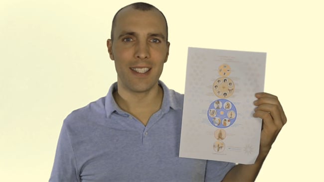 Friedensstock als A4 Ausdruck