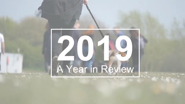 2019 Review