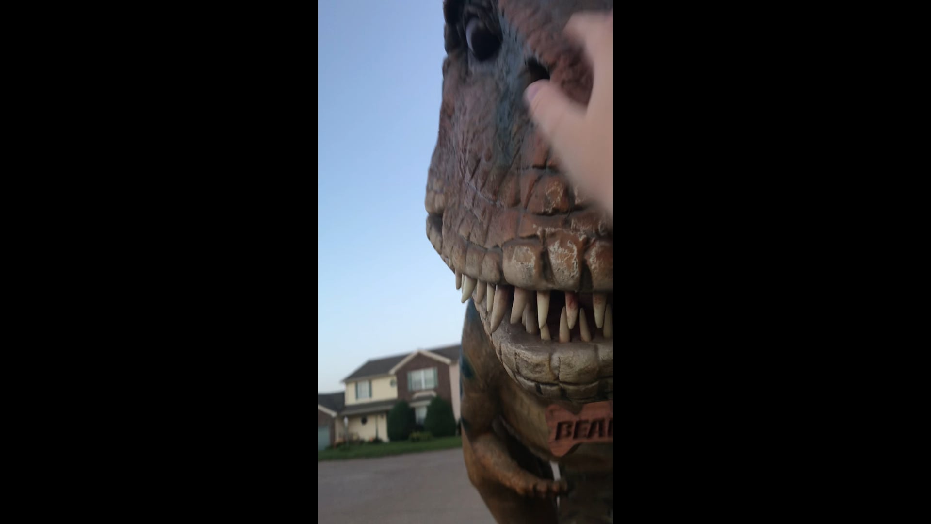 Hire Beaux the Tyrannosaurus Rex - Costumed Character in Evansville, Indiana