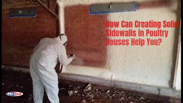 Spray Foam Insulation Benefits in Poultry Houses