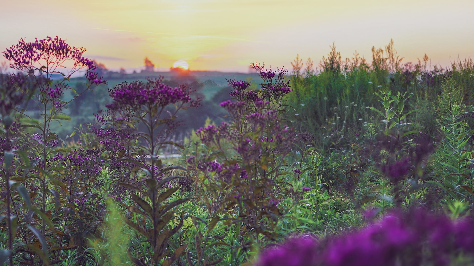 The Inn at Honey Run | 2019 Year In Review