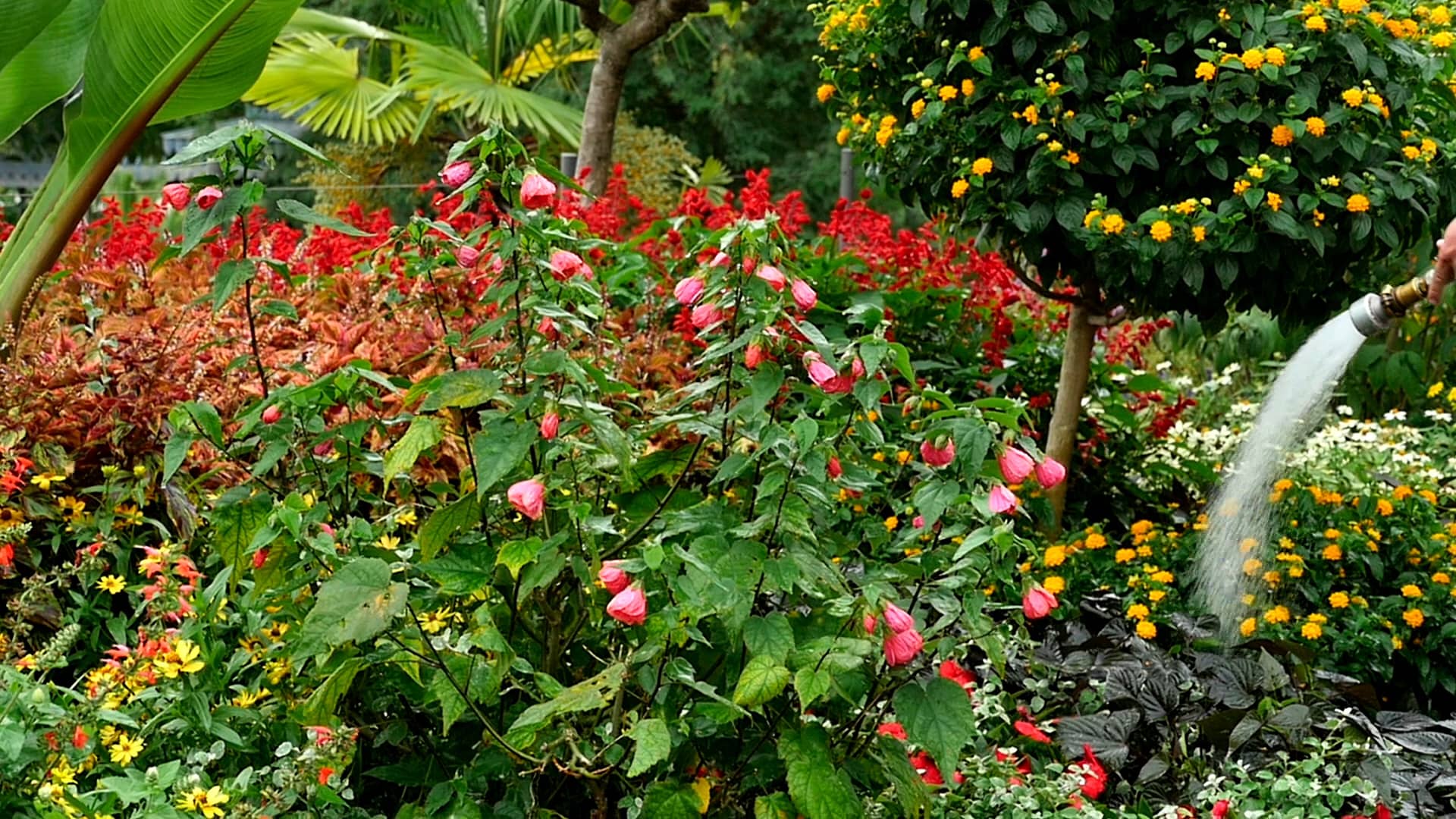 Peter's Landscape Inc on Vimeo