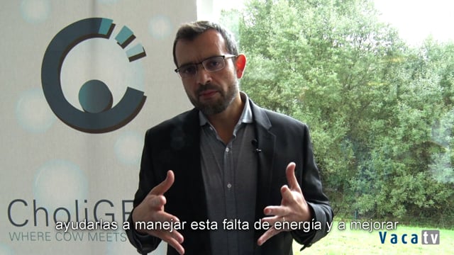 "Cuando integras todos los datos juntos estás aumentando tu capacidad para encontrar diferencias"