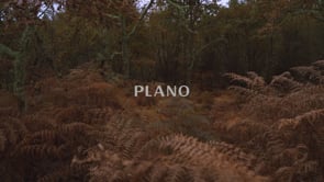 PLANO