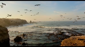 Netflix - Customer Success Story