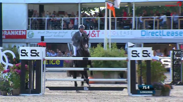 Chubakko - Holsteiner 2013 ,  connor