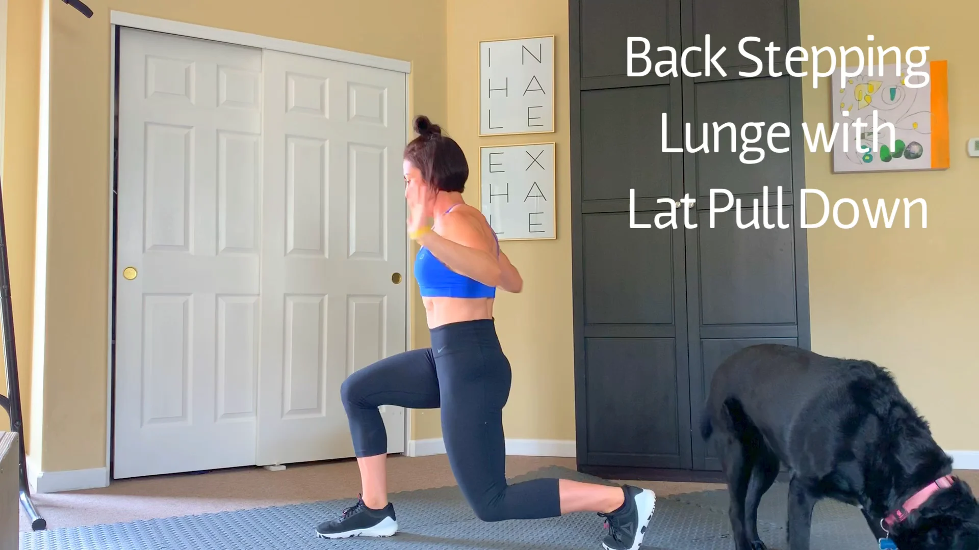 Back Stepping Lunge with Lat Pull Down on Vimeo