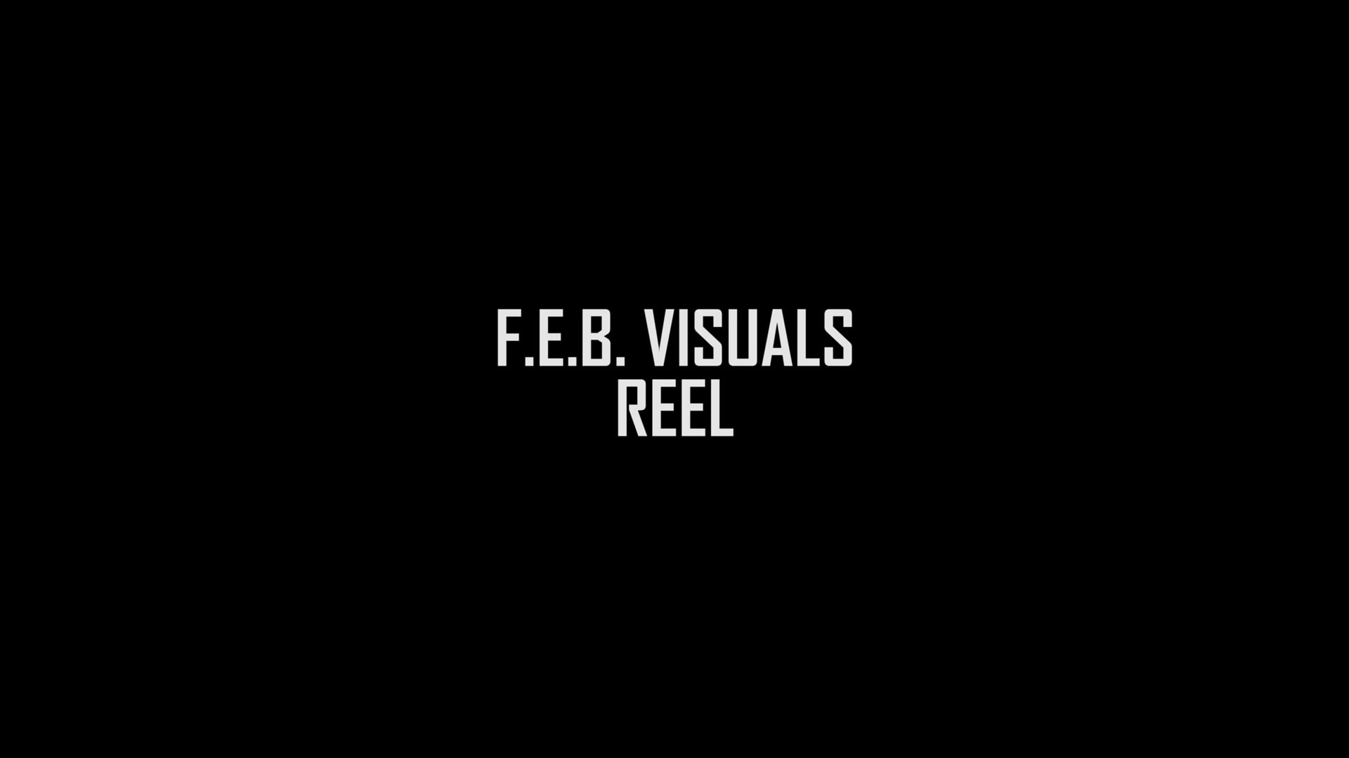 F.E.B. VISUALS REEL 2019