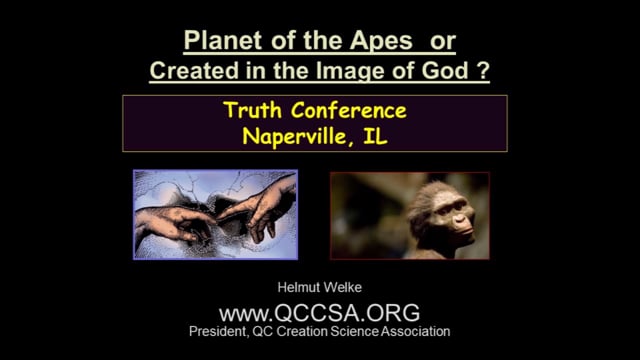 apes and god