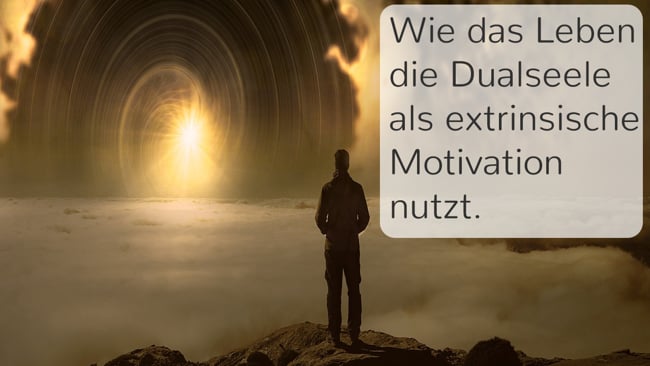 Wie das Leben die DS als extrinsische Motivation nutzt