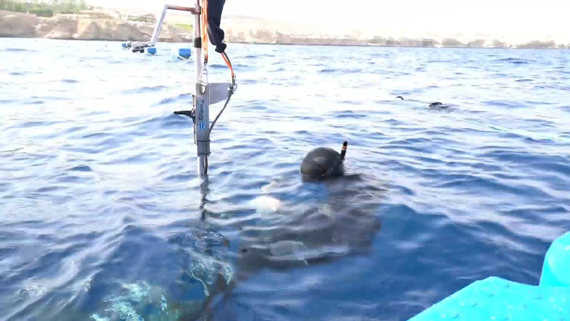 Sharmel Sheikh Egypt - Autumn 2016