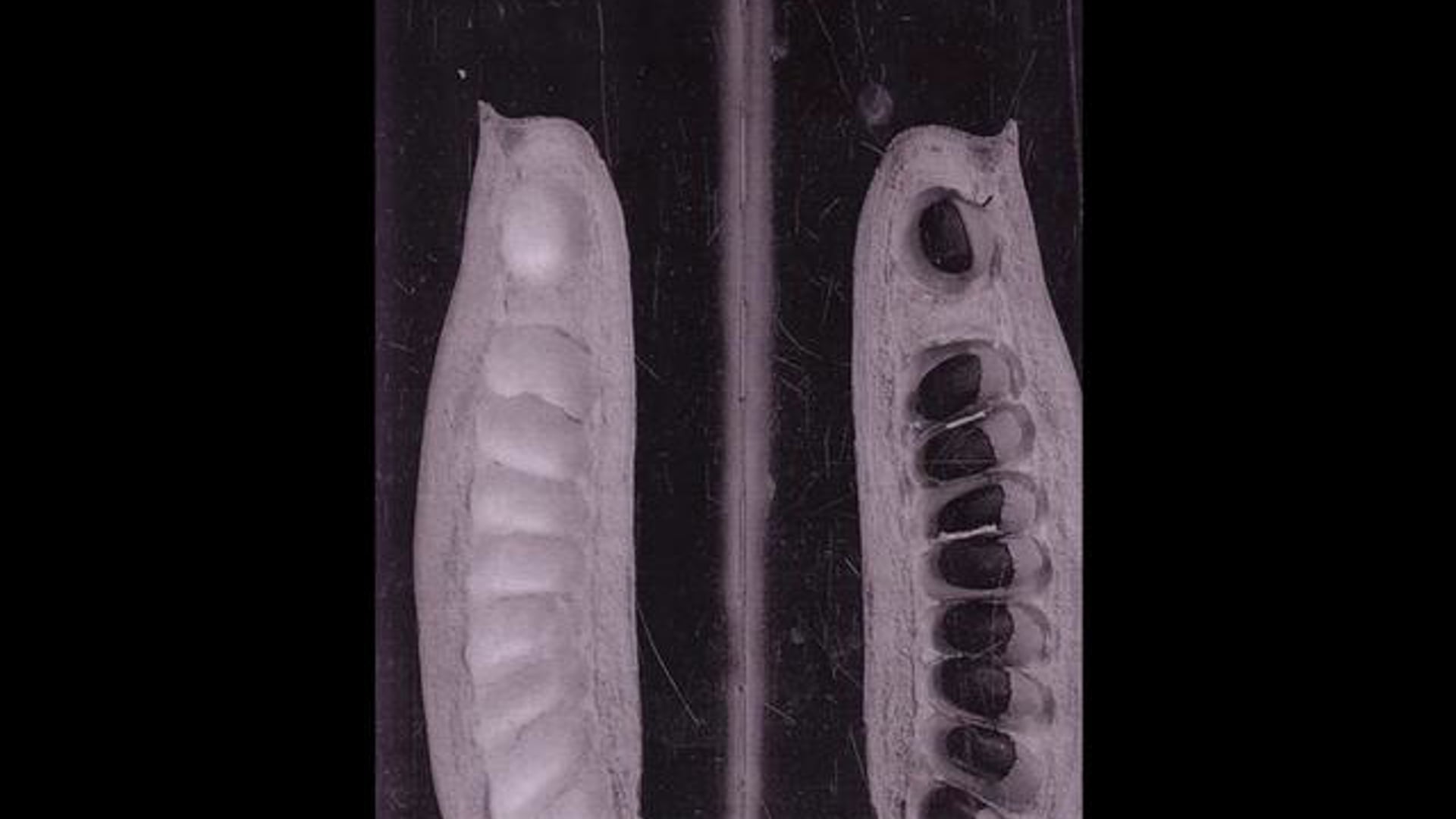 Beginning Approaches - Fixing Points and Eliminating Variables: Shauna Twadzik MA Ceramic UWIC  2008