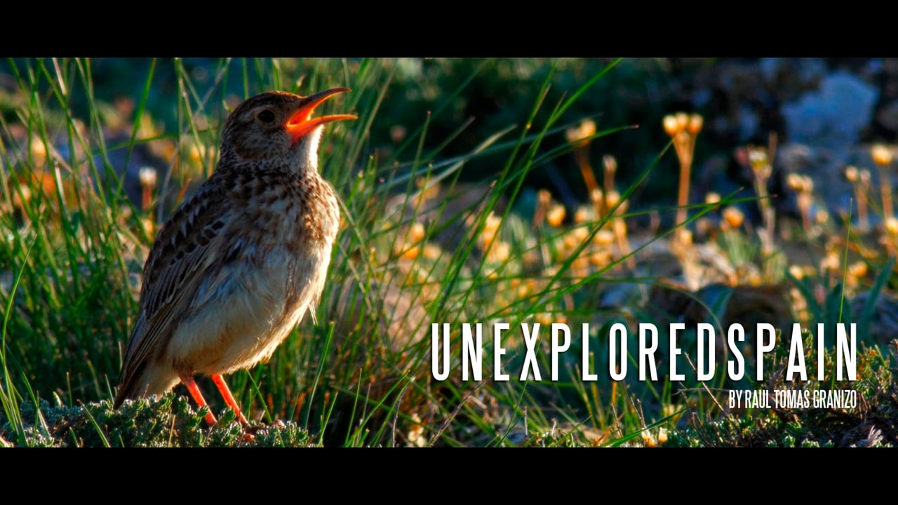 UnexploredSpain