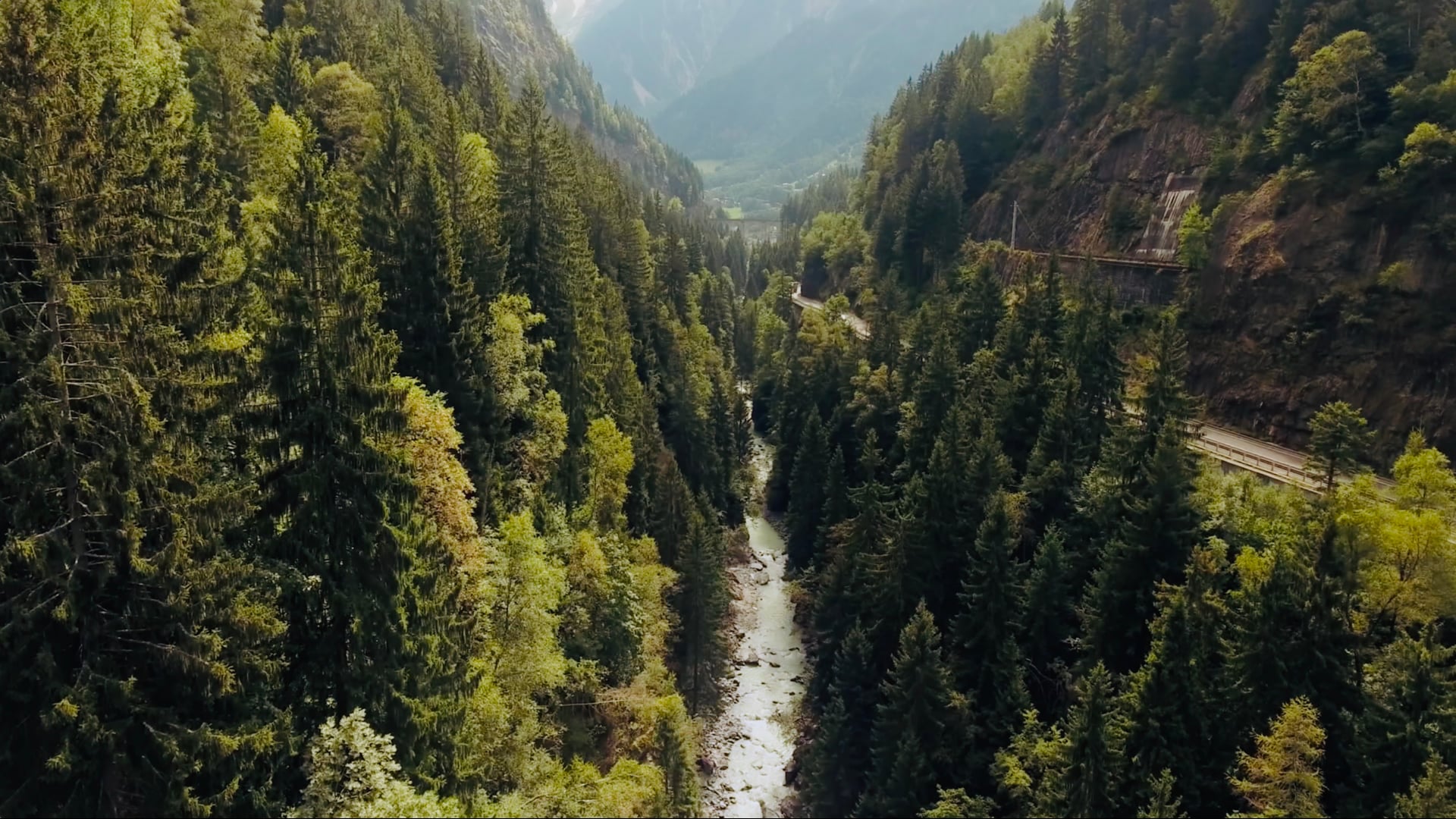 Patagonia 'Leave It Better'