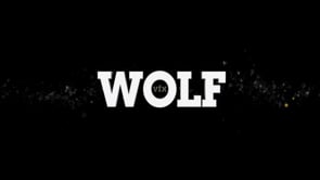 Wolf VFX Demo Reel 2011