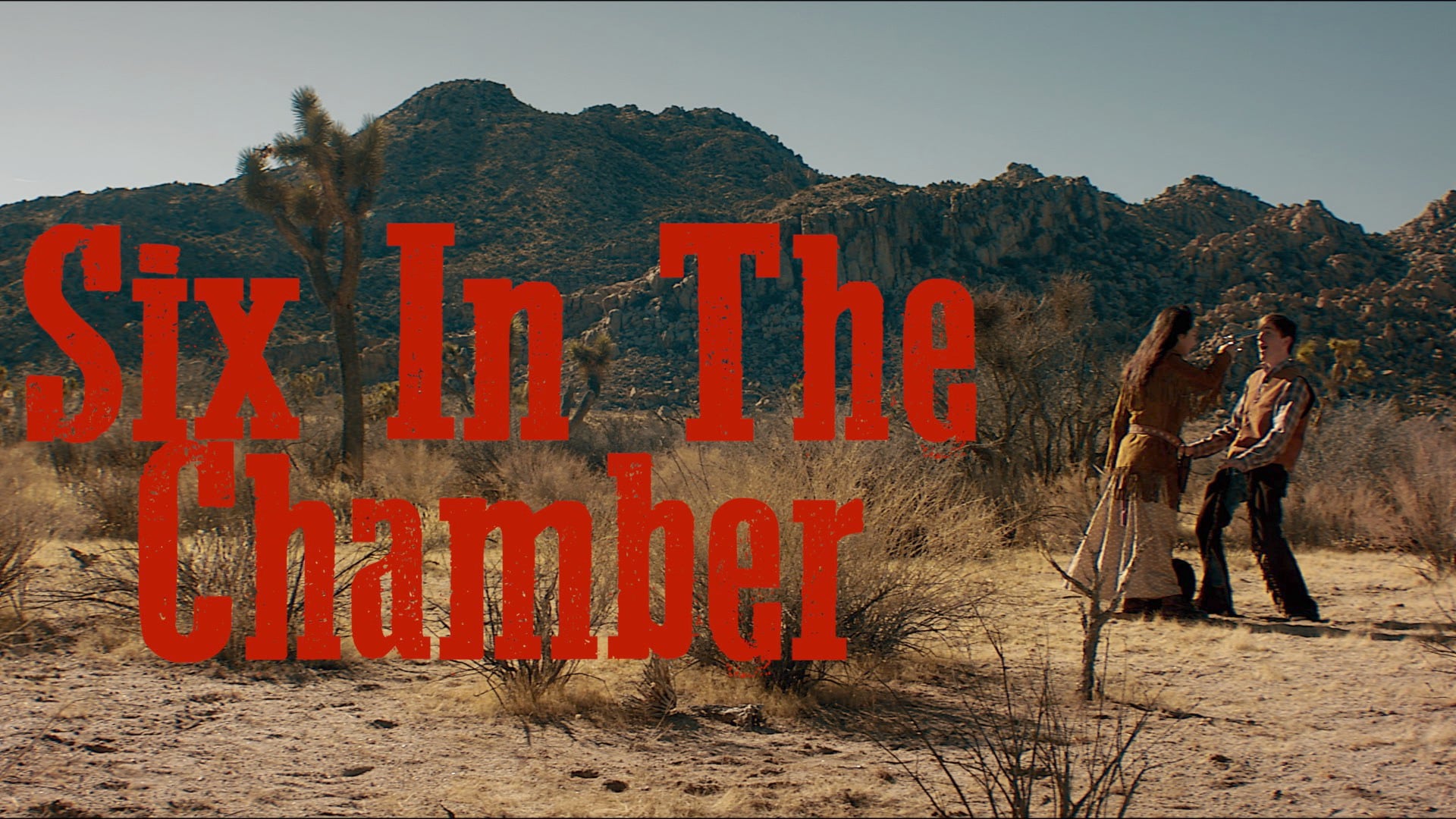Six In The Chamber