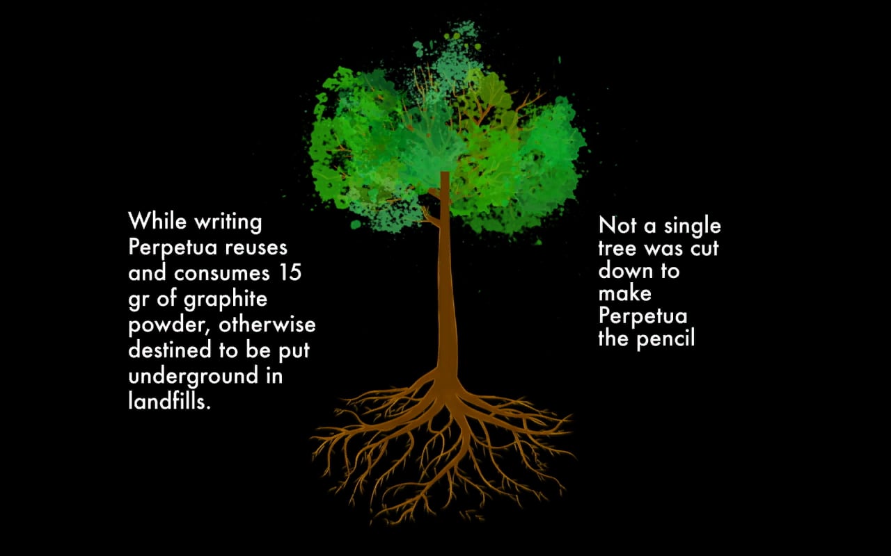 Scrigno for Perpetua