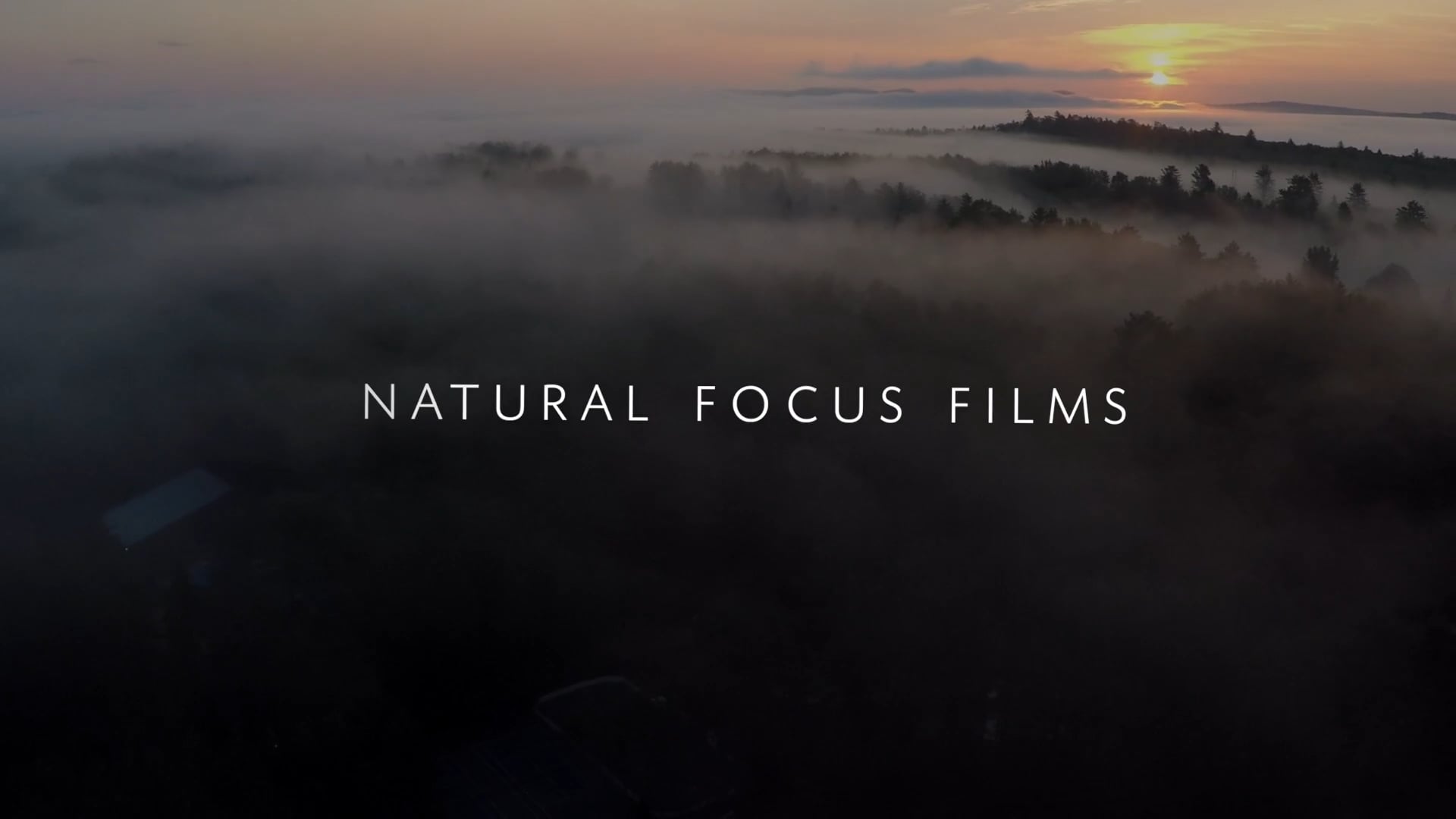 Natural Focus Films on Vimeo