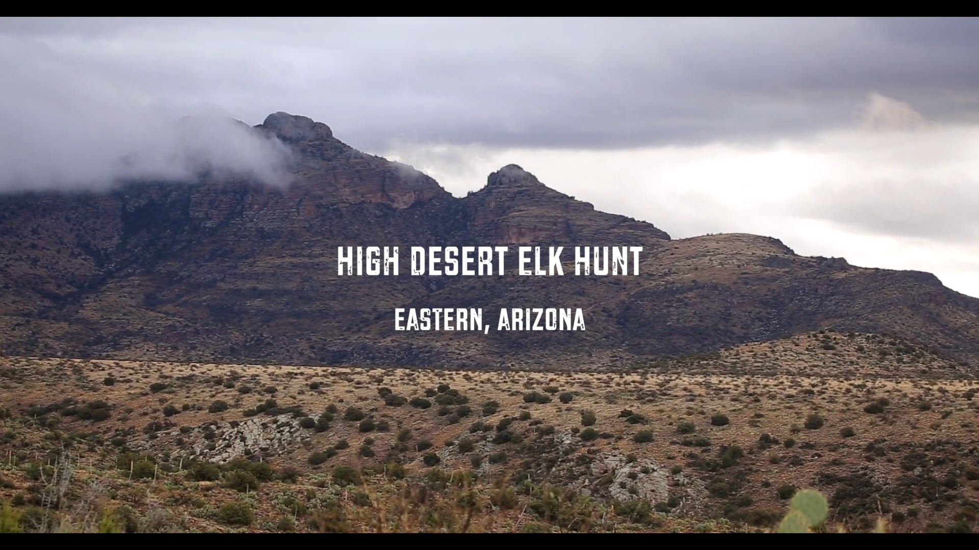 High Desert Elk Hunt