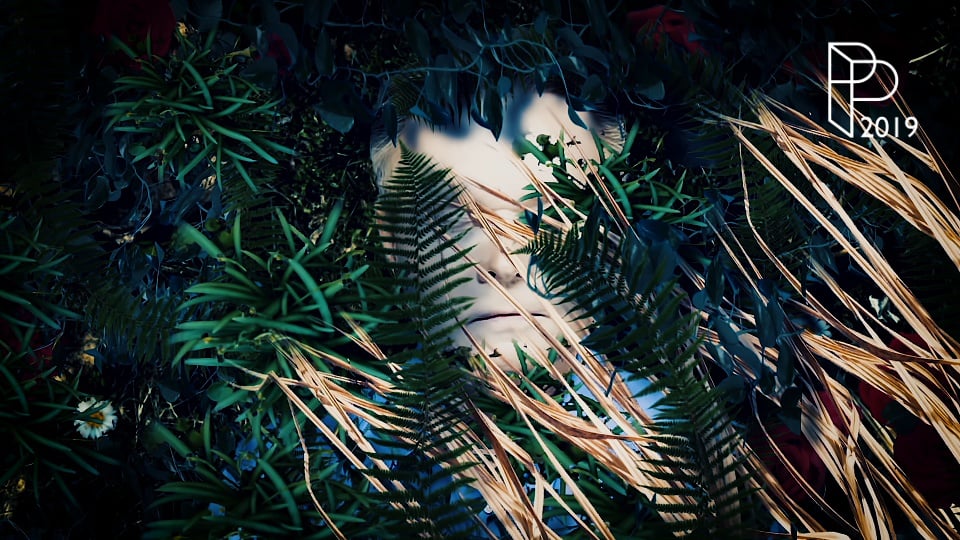 SHOW REEL #2019 PASCAL PAWLISZEWSKI.COM