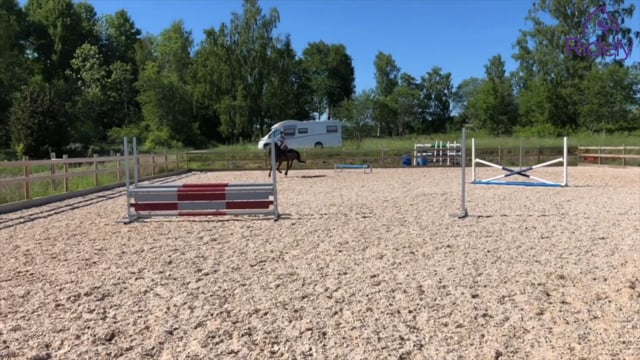 Serpentinövning med små hinder