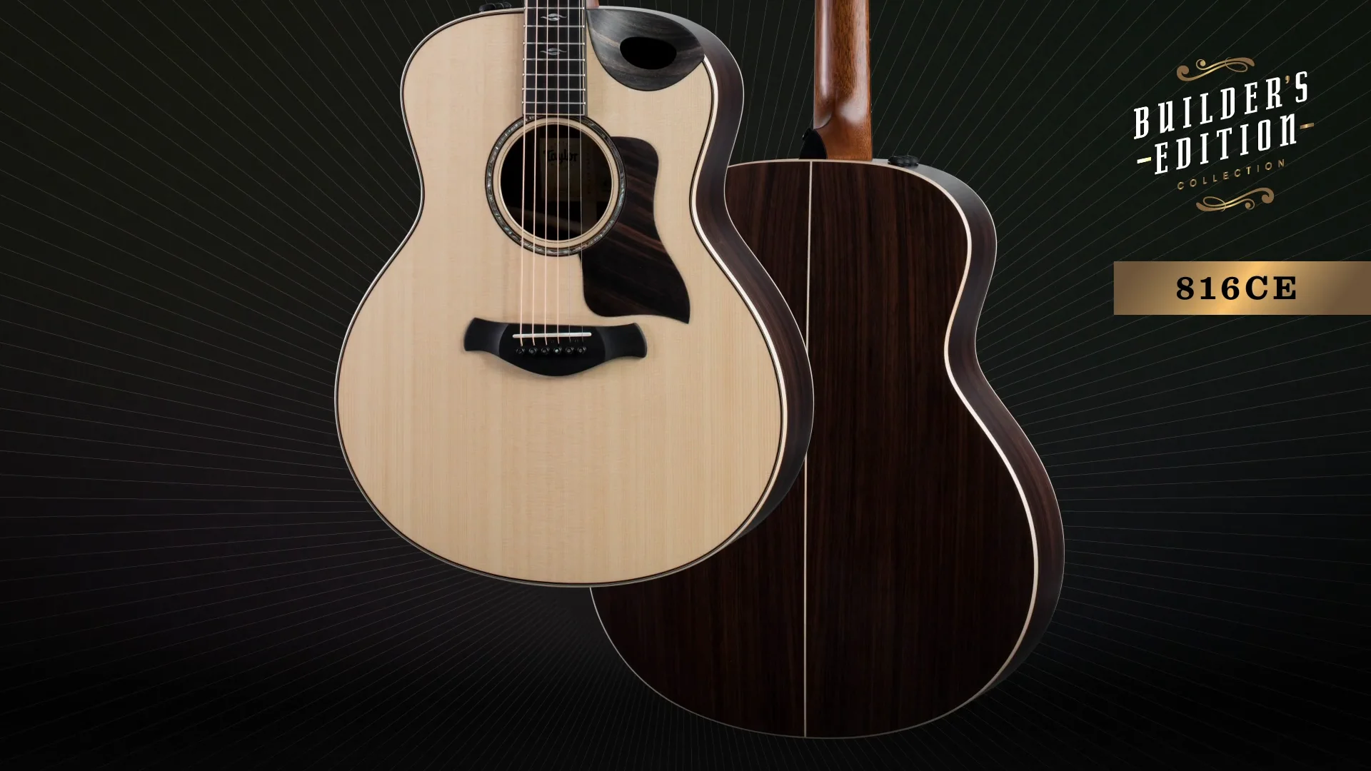 Builder's Edition 816ce | Taylor Guitars