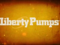 Liberty Pumps 1/4 HP 115V Cast Iron Submersible Sump Pump L2472 at Pollardwater