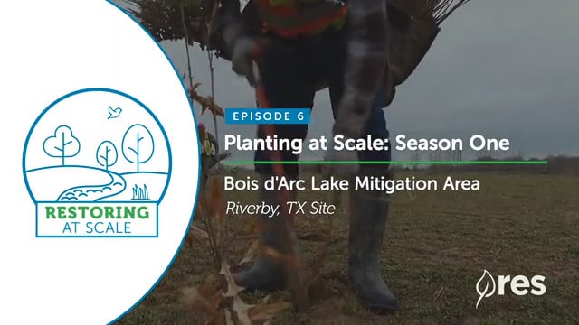 Restoring at Scale: Episode 6 - Planting Season One