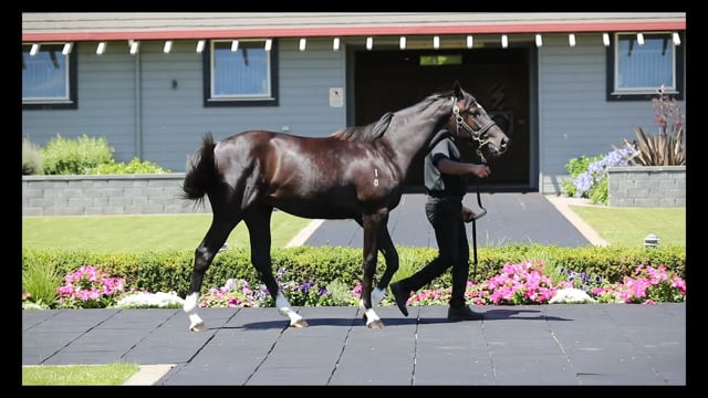 Lot 198