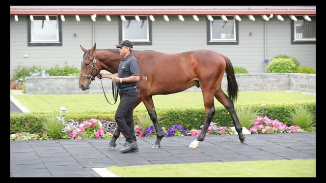 Lot 772