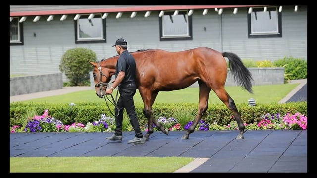 Lot 1033