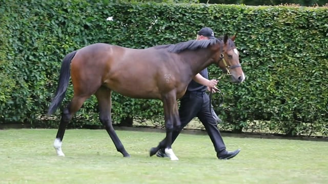 Lot 1092