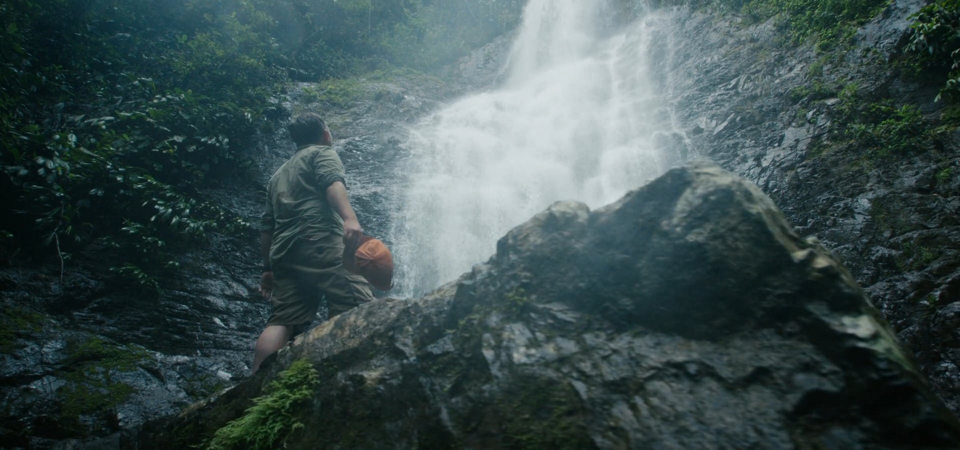 The Search- The Original Cocoa Traders