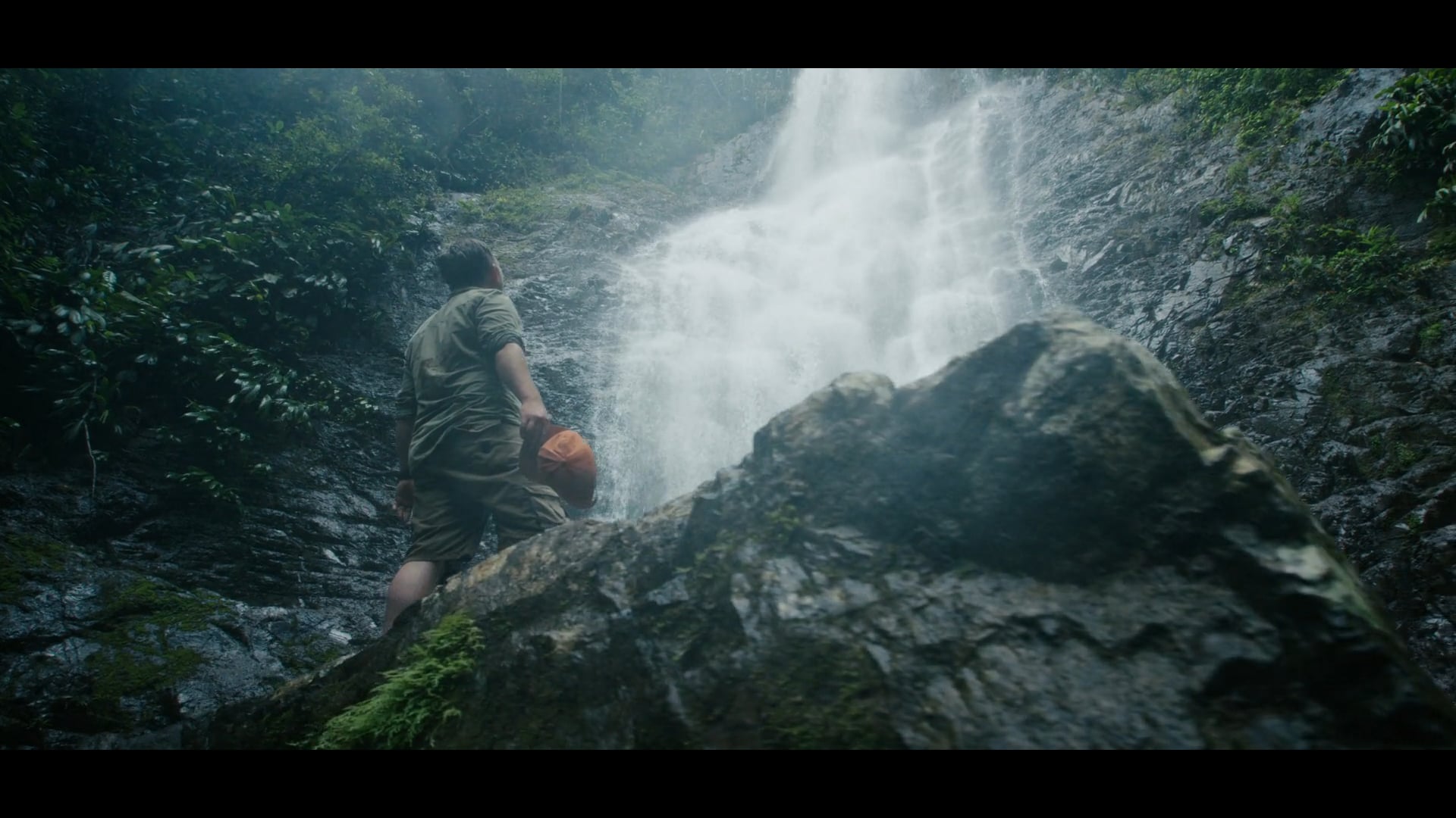 The Search- The Original Cocoa Traders
