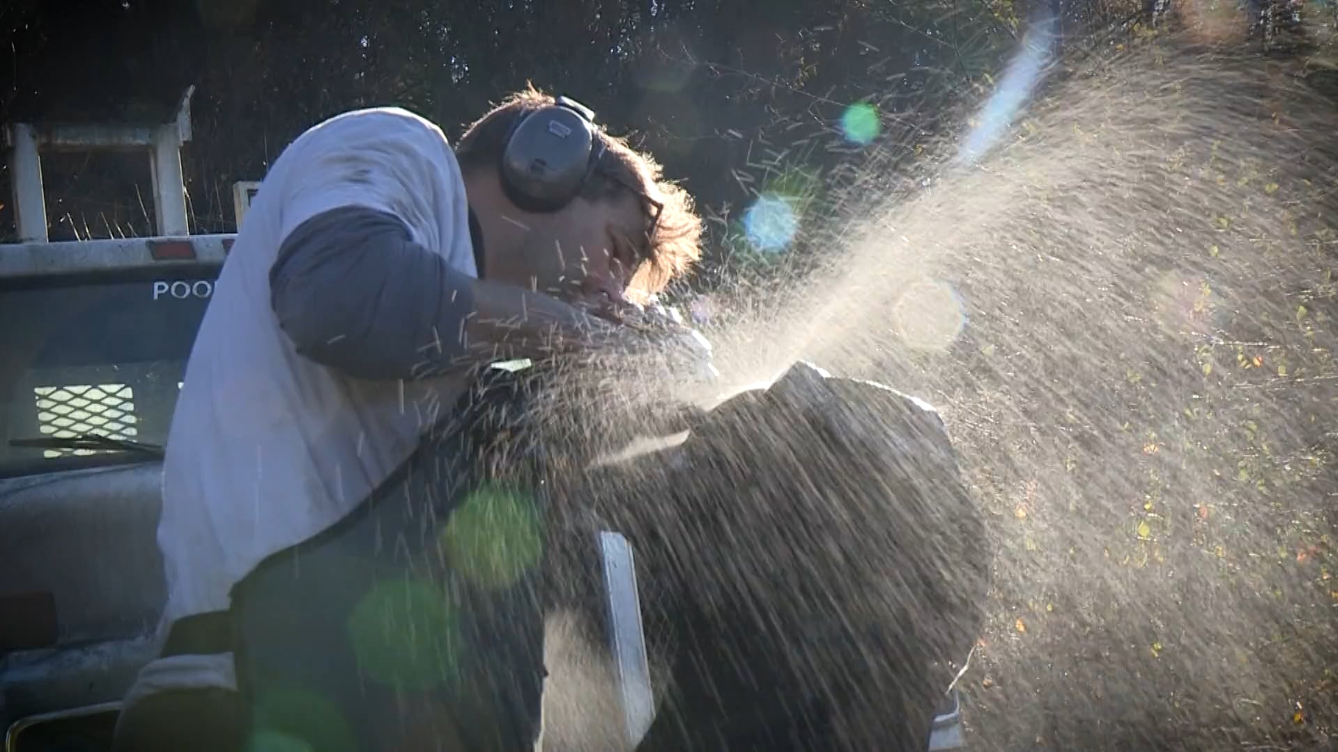 Will Robinson Artist Profile "Hand In Hand"