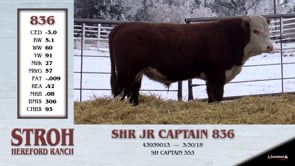 Lot #836 - SHR JR CAPTAIN 836