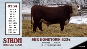 Lot #8234 - SHR HOMETOWN 8234