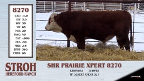 Lot #8270 - SHR PRAIRIE XPERT 8270