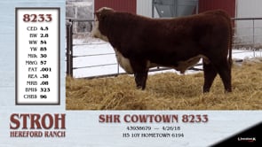 Lot #8233 - SHR COWTOWN 8233