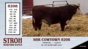 Lot #8208 - SHR COWTOWN 8208
