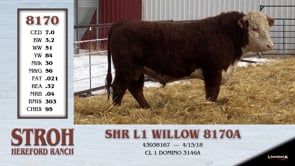 Lot #8170 - SHR L1 WILLOW 8170A