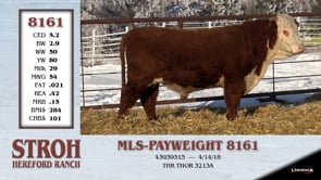 Lot #8161 - MLS - PAYWEIGHT 8161