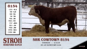 Lot #8154 - SHR COWTOWN 8154
